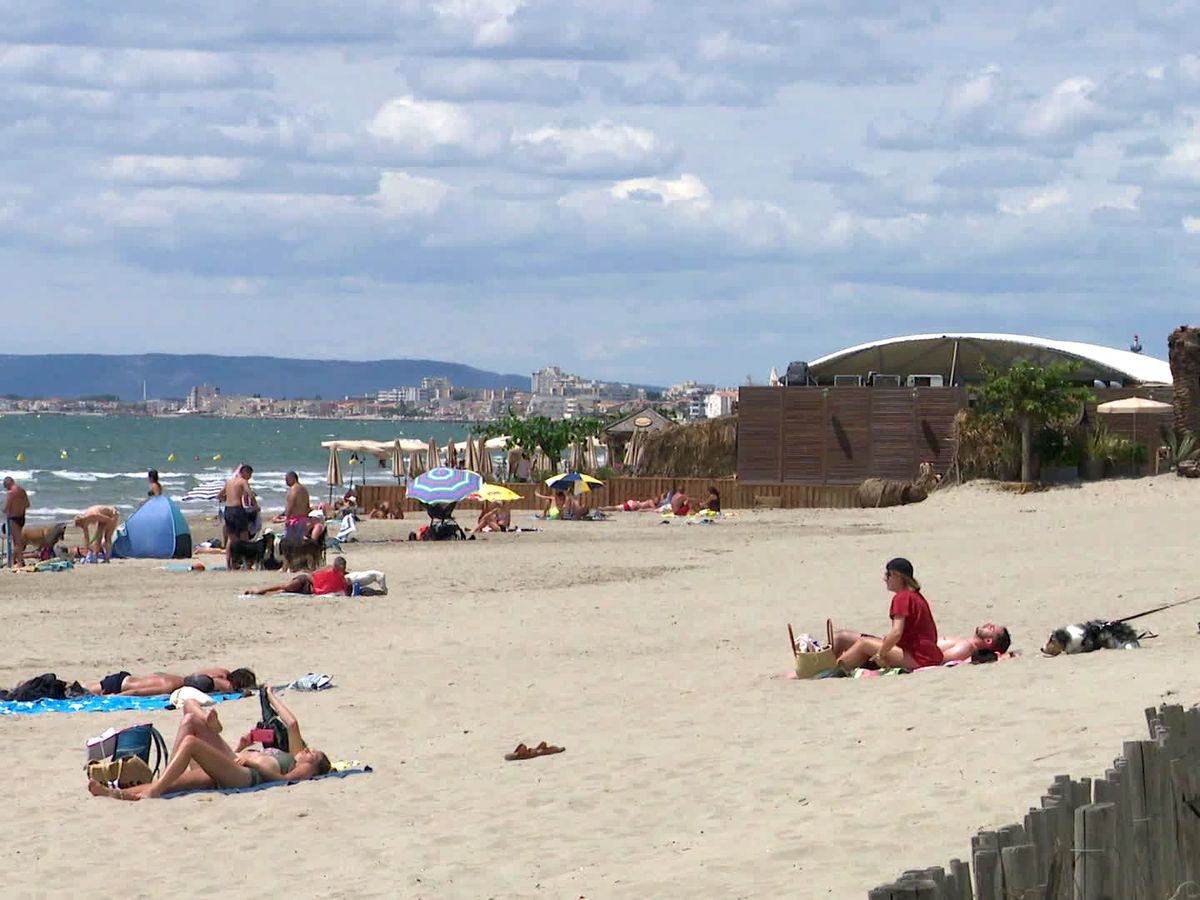 découvrez notre restaurant en bord de plage à saint-brieuc, où une nouvelle carte de saison et une ambiance chaleureuse vous attendent. savourez des plats faits maison tout en profitant de la vue imprenable sur la mer. réservez votre table et vivez une expérience culinaire unique au cœur de la bretagne.