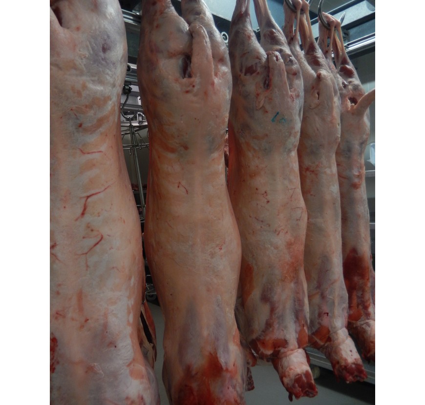 découvrez les prix du mouton entier, avec des informations sur les différentes races, les marchés locaux et les options de vente. idéal pour les fêtes, les repas en famille ou les événements spéciaux, achetez votre mouton entier à un prix compétitif et savourez la qualité de viande. ne manquez pas les conseils pour choisir le meilleur mouton selon vos besoins.