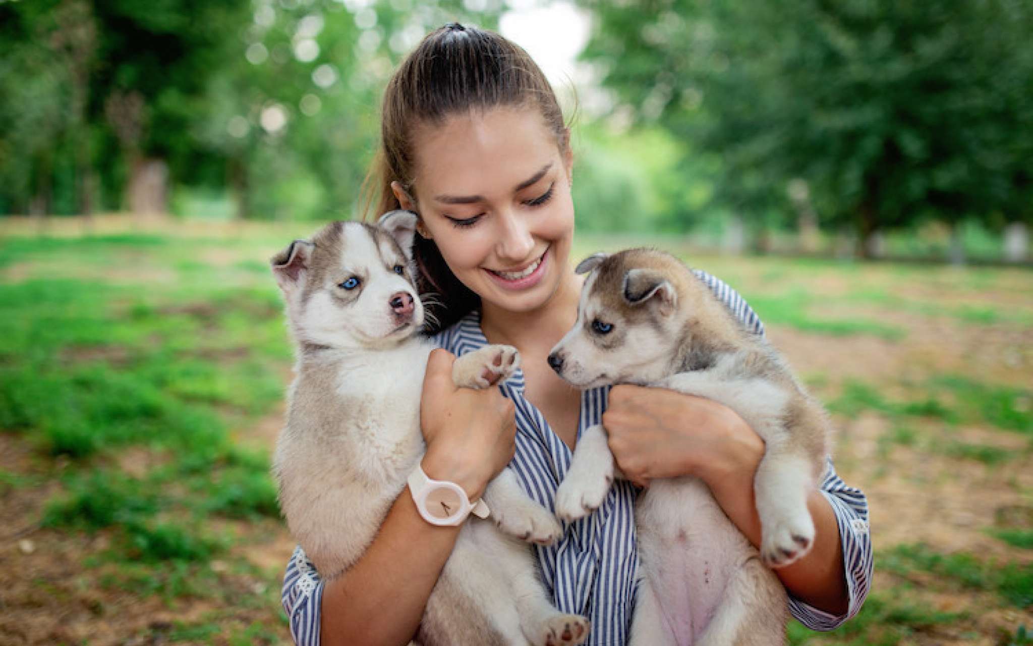 découvrez notre sélection 2025 de noms de chien en v, inspirés par la culture italienne, pour trouver le nom parfait à votre compagnon à quatre pattes.