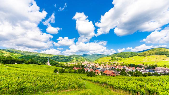 découvrez les avantages et le charme de vivre à la campagne en famille, entre nature, tranquillité et qualité de vie optimale pour petits et grands.