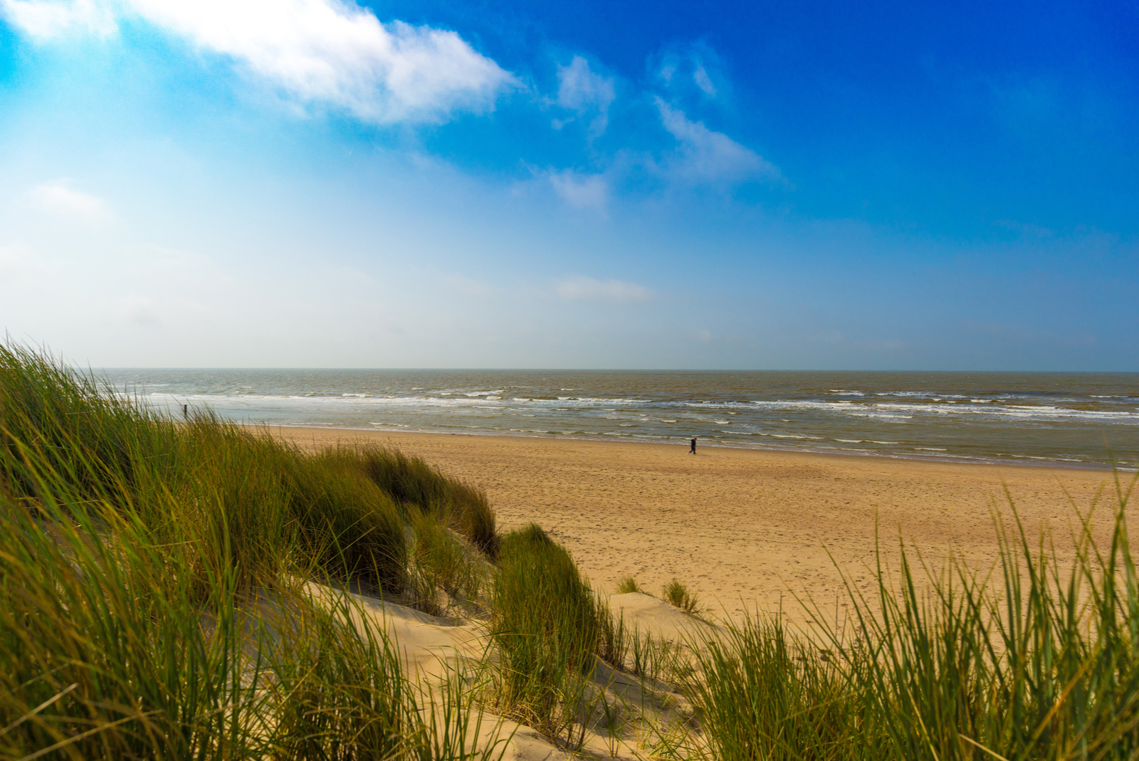 découvrez de haan, charmante station balnéaire belge réputée pour ses plages de sable fin, son architecture belle époque et son ambiance relaxante en bord de mer.