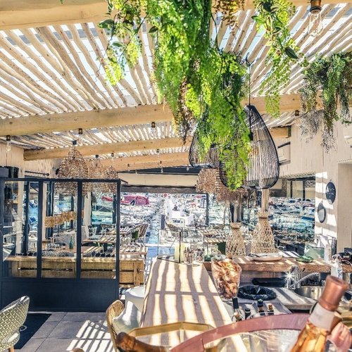 découvrez comment faire face à une invasion de cafards vivants dans la cuisine de votre restaurant à saint-cyr-sur-mer avec des solutions efficaces et préventives.